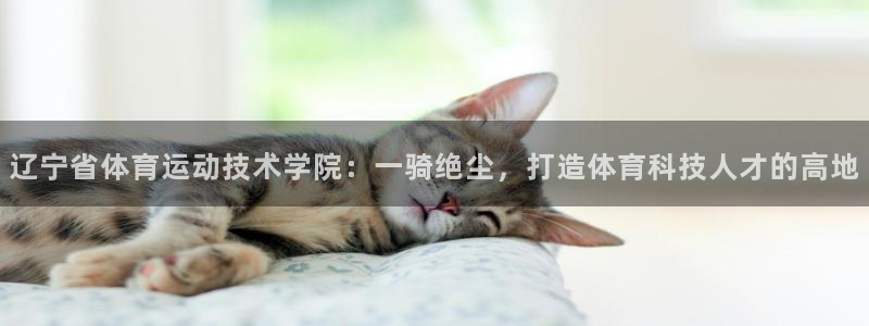MK体育官网下载招商电话地址是多少：辽宁省体育运动技
