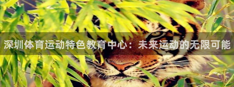 注册MK体育官方正版app：深圳体育运动特色教育中心