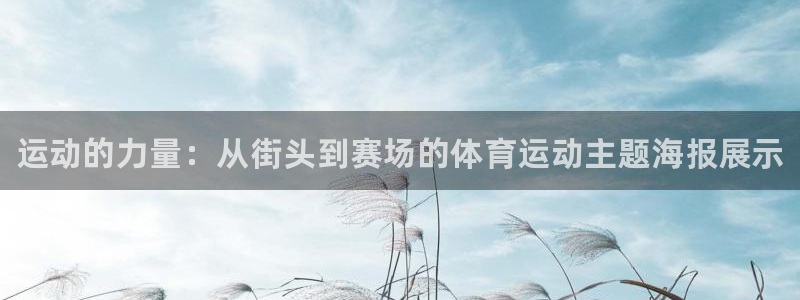 MK体育官网下载是干嘛的公司：运动的力量：从街头到赛