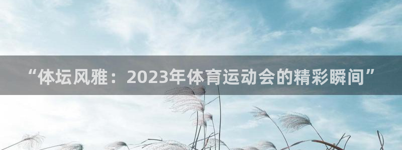 MK体育官网下载娱乐：“体坛风雅：2023年体育运动