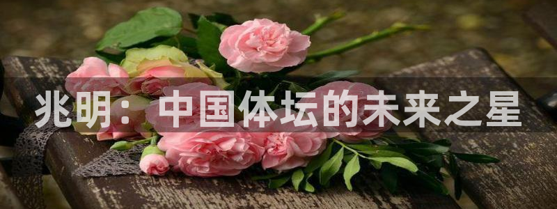 MK体育官方正版app集团E.ON：兆明：中国体坛的
