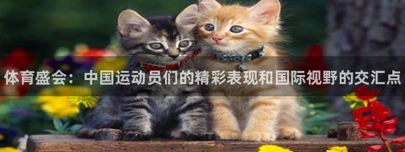 MK体育官方正版app娱乐：体育盛会：中国运动员们的