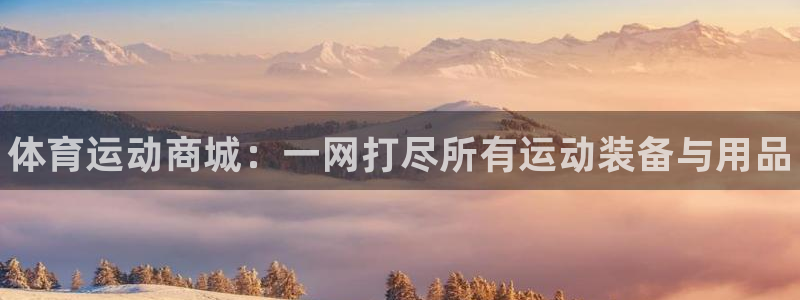 MK体育官方正版app神州：体育运动商城：一网打尽所