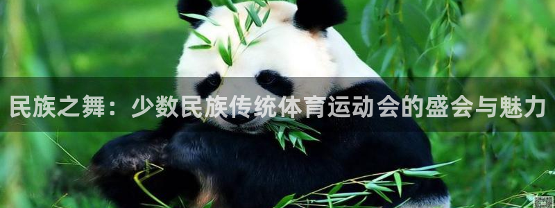MK体育官网下载招商电话：民族之舞：少数民族传统体育