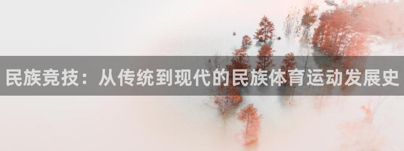 MK体育官方正版app娱乐下载：民族竞技：从传统到现代的民族