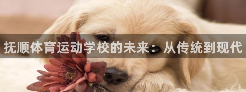 MK体育官网下载招商电话是多少号码：抚顺体育运动学校