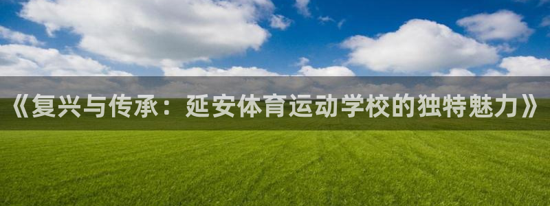 MK体育官方正版app娱乐网站：《复兴与传承：延安体