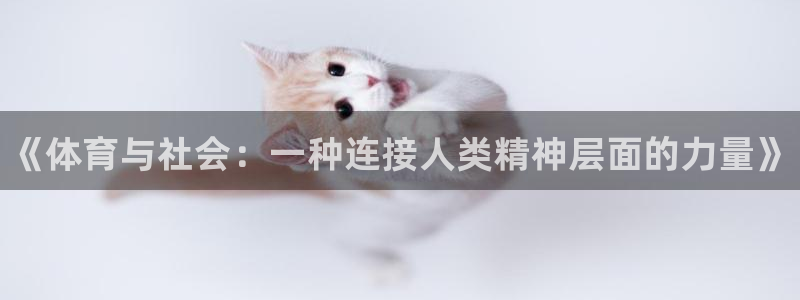 MK体育官方正版app代理：《体育与社会：一种连接人