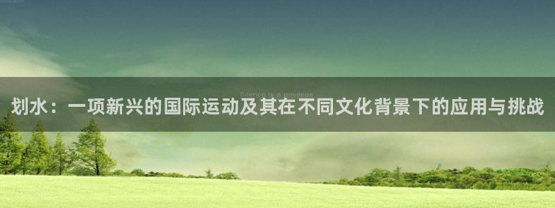 MK体育官方正版app娱乐下载：划水：一项新兴的国际运动及其