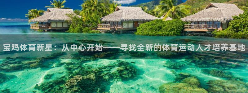 MK体育官方正版app娱乐是那个系列的台子：宝鸡体育新星：从